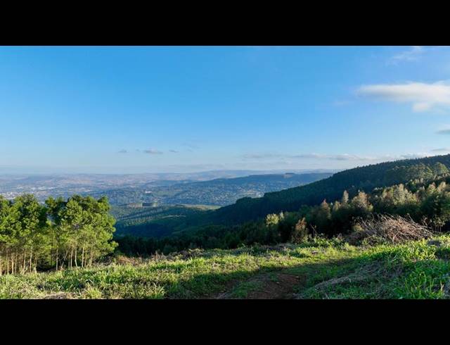 LAND FOR SALE IN MOUNT VERDE